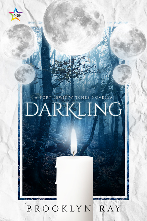 The cover of Darkling by Brooklyn Ray.